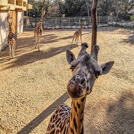 Apartment Cozy In With Wifi